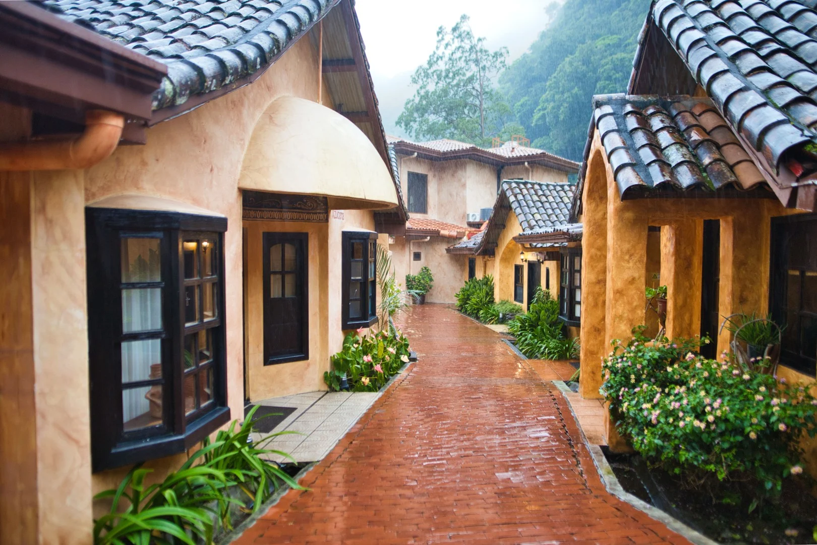 Creación de contenido para redes sociales y marketing digital